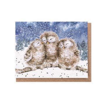 Enclosure Card- Christmas Assorted